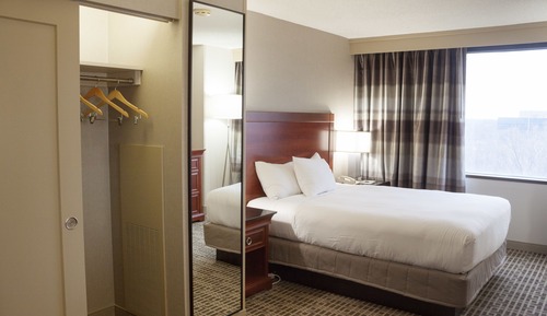 Room, 1 King Bed, Refrigerator