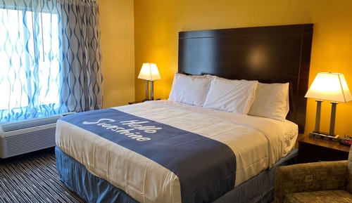 Room, 1 King Bed, Accessible, Non Smoking (Roll-In Shower)