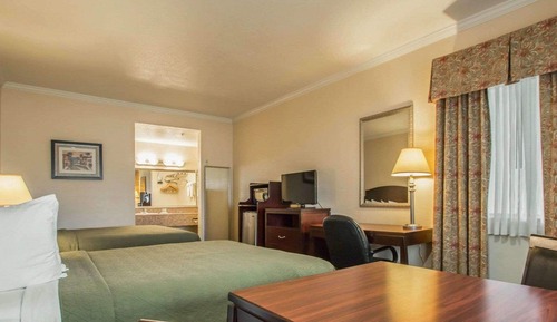 Standard Room, 2 Queen Beds, Accessible, Non Smoking (Roll-In Shower, Pet Friendly)