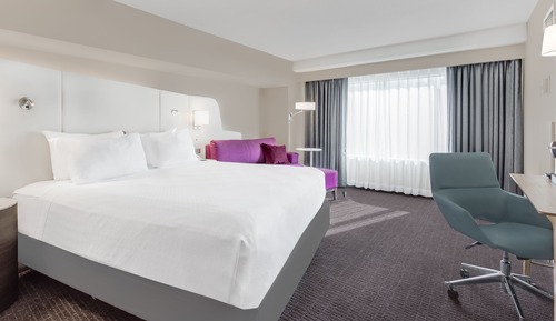 Executive Suite, 1 King Bed