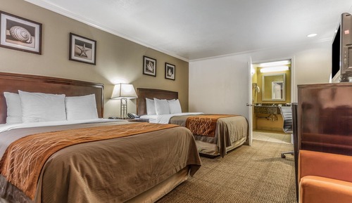 Room, Multiple Beds, Non Smoking