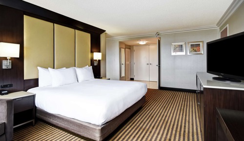 Suite, 1 King Bed