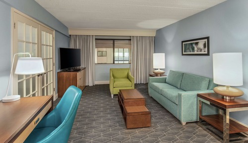 Suite, 1 King Bed with Sofa bed