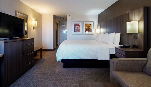 Standard Room, 1 King Bed with Sofa bed