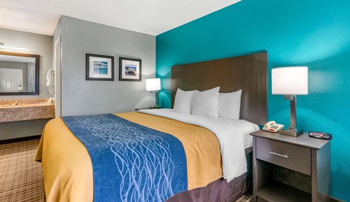 Standard Room, 1 King Bed, Non Smoking