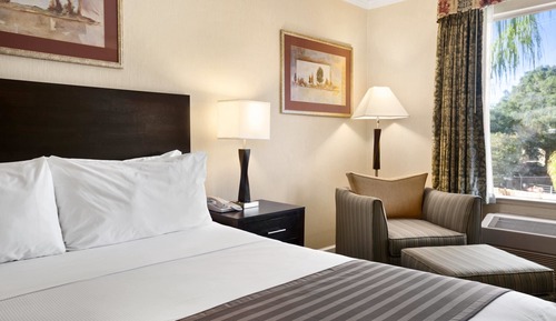 Room, 1 Queen Bed, Accessible, Non Smoking (Bathtub w/ Grab Bars)