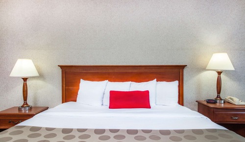 Standard Room, 1 King Bed, Non Smoking