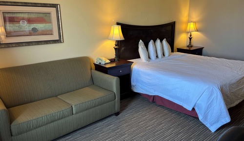 Room, 1 King Bed, Non Smoking (Interior)