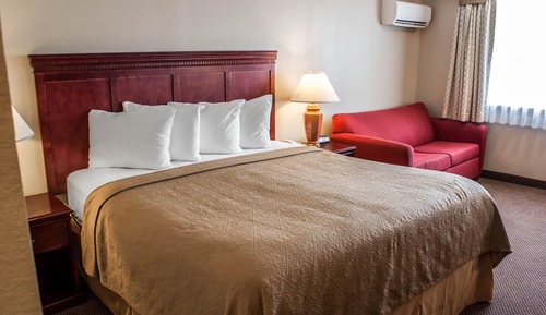 Room, 1 King Bed, Smoking