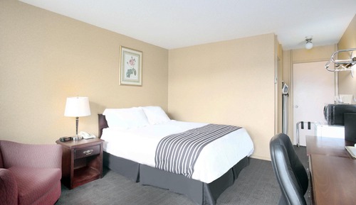 Standard Room, 1 Queen Bed
