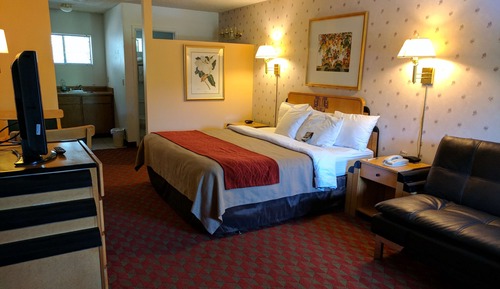 Room, 1 King Bed, Accessible, Non Smoking (Roll-In Shower)