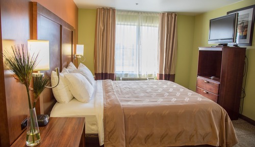 Suite, 1 King Bed, Accessible, Non Smoking (Efficiency)