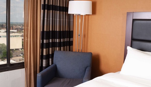 Room, 1 King Bed, Accessible, Non Smoking