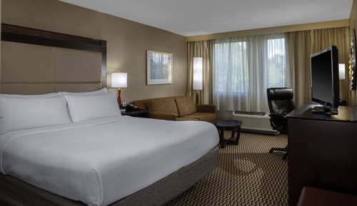 Premium Room, 1 King Bed with Sofa bed (High Floor)