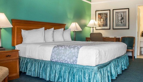 Room, 1 King Bed, Accessible, Non Smoking
