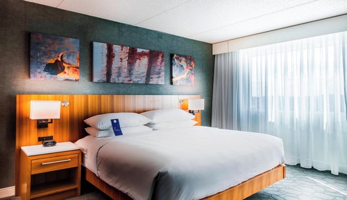 Room, 1 King Bed (Mobility/Hearing Access, Roll-in Shwr)
