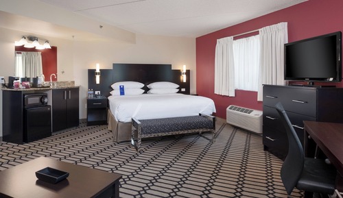 Suite, 1 King Bed with Sofa bed