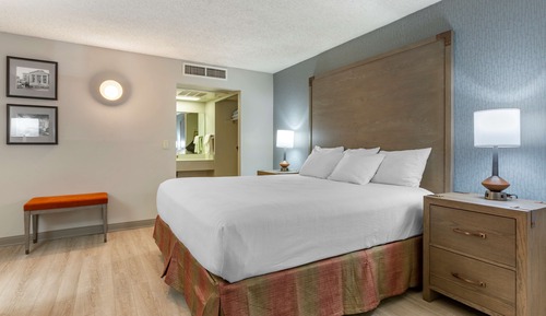 Standard Room, 1 King Bed, Accessible, Non Smoking (Larger Room;with Sofabed)