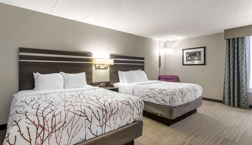 Standard Room, 2 Queen Beds, Non Smoking, Refrigerator & Microwave (Larger Room)
