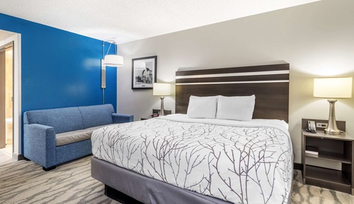 Standard Room, 1 King Bed, Accessible, Refrigerator & Microwave