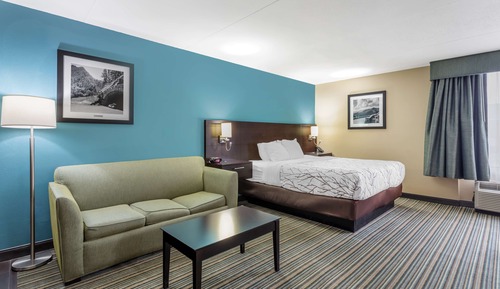 Suite, 1 King Bed, Non Smoking, Kitchenette (with Sofabed)