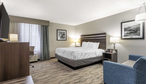 Standard Room, 1 King Bed, Accessible, Refrigerator & Microwave