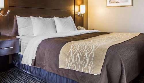 Standard Room, 1 King Bed, Non Smoking