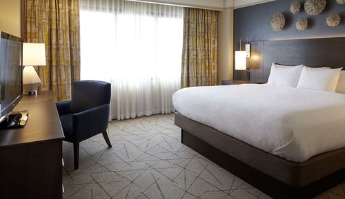 Premium Suite, Accessible, Non Smoking (Roll-in Shower)