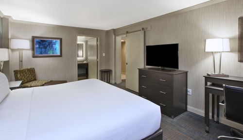 Suite, 1 Bedroom