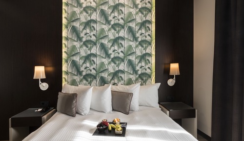 Deluxe Double Room Single Use
