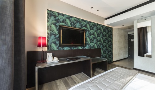 Deluxe Double Room (Turkish Bath)
