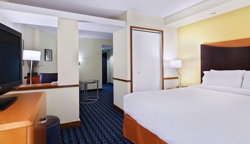 Suite, 1 King Bed with Sofa bed