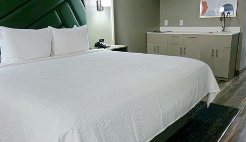 Room, 1 King Bed, Non Smoking (Efficiency)