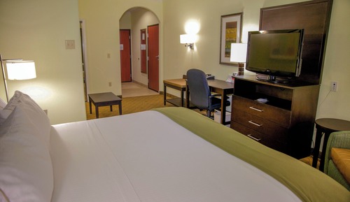 Suite, 1 King Bed with Sofa bed