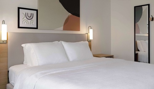 Room, 1 King Bed
