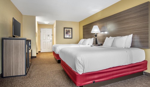 Standard Room, 2 Queen Beds, Non Smoking, Microwave (Larger Room)