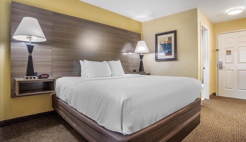 Suite, 1 King Bed, Non Smoking, Refrigerator & Microwave (with Sofabed)