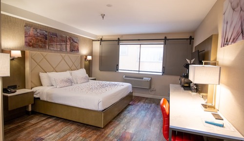 ADA king room with roll in shower
