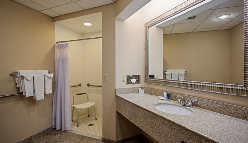 Standard Room, 2 Double Beds, Roll-in Shower (Communications)
