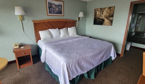 Basic Room, 1 King Bed
