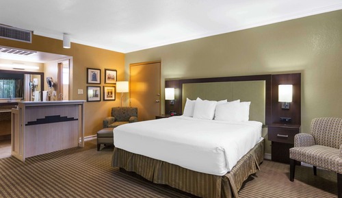 Suite, 1 King Bed, Accessible