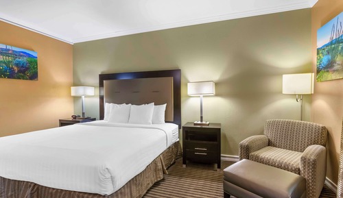 Suite, 1 King Bed, Non Smoking, Refrigerator