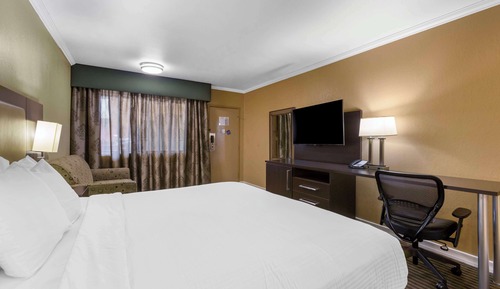 Standard Room, 1 King Bed, Non Smoking, Refrigerator (with Sofabed)