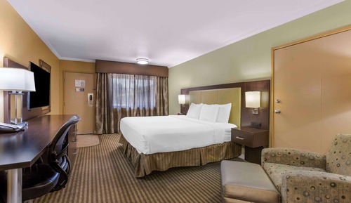 Standard Room, 1 King Bed, Accessible (Walk-in Shower)