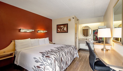 Suite, 1 King Bed (Smoke Free)