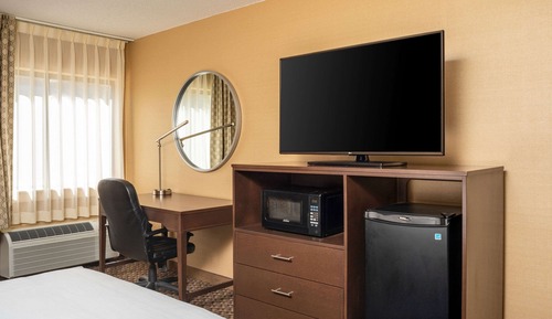 Room, 1 King Bed, Non Smoking (Pet Friendly)