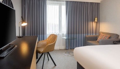 Deluxe Room, 1 Double Bed
