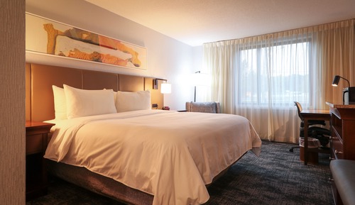 Standard Room, 1 King Bed, Mobility Accessible (Accessible Tub)