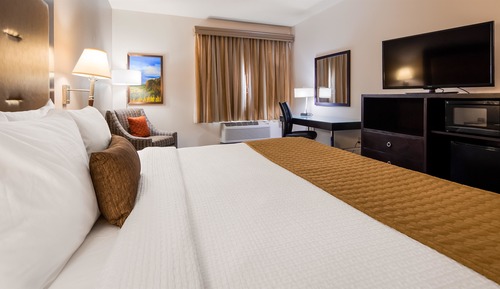 Standard Room, 1 King Bed, Non Smoking, Refrigerator & Microwave