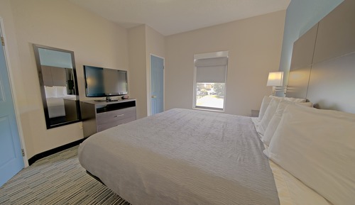 Suite, 1 King Bed with Sofa bed